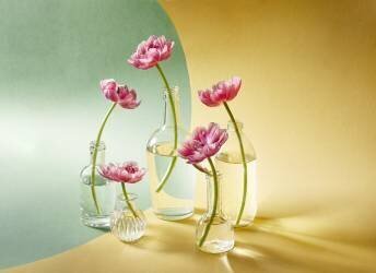 Five tulips (Alena Kutnikova) - Muzeo.com