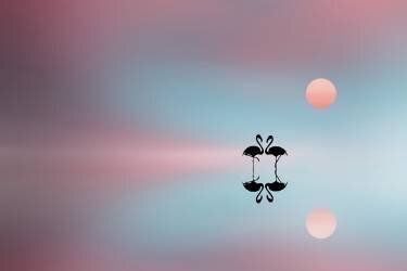 Flamingo (Bess Hamiti) - Muzeo.com