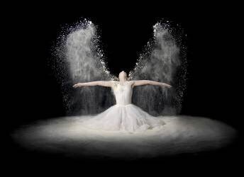 Flour Wings (Pauline Pentony MA) - Muzeo.com