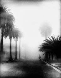 Fog (Roxana Labagnara) - Muzeo.com