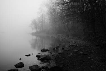 Foggy Lake (Binbin Lu) - Muzeo.com