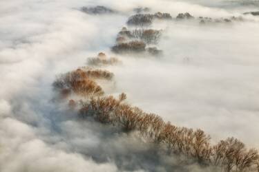 Foggy valley (Fiorenzo Carozzi) - Muzeo.com