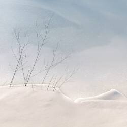 Fragile (Jacqueline van Bijnen) - Muzeo.com