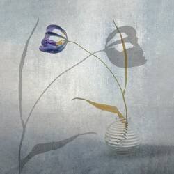 Fragile (Stephan Ruckert) - Muzeo.com