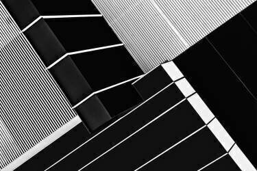 Fragile Symmetry (Paulo Abrantes ) - Muzeo.com