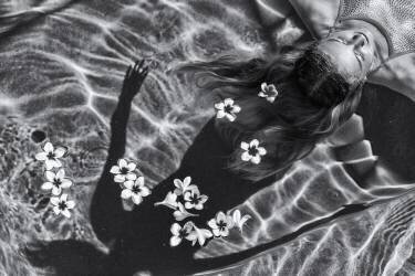 Frangipani tree (Gloria Salgado Gispert) - Muzeo.com