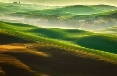 Freedom.... (Krzysztof Browko) - Muzeo.com