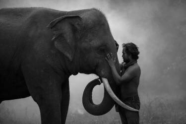 Friend (Jeerasak Chaisongmuang) - Muzeo.com