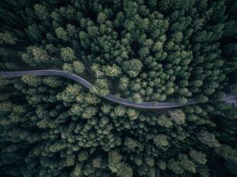 From above (Antonio Carrillo Lopez) - Muzeo.com