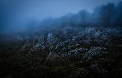 Frosty day (Takafumi Yamashita) - Muzeo.com
