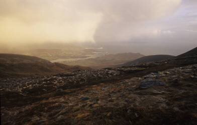 gamma_rh2158817 (Véronique Durruty) - Muzeo.com