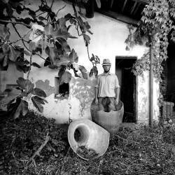 Genesis (Carlo Ferrara) - Muzeo.com