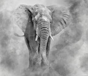 Giant (Ilona Rosenkrancova) - Muzeo.com