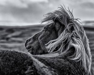 Glance Back (Sunny Ding) - Muzeo.com