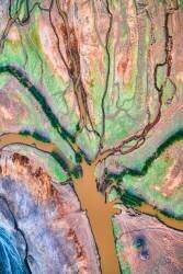 God's Palette (John Fan) - Muzeo.com