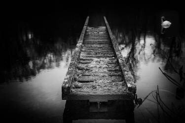 Going nowhere (Michael) - Muzeo.com