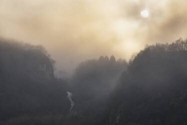 Gold Valley (Marina Anghileri) - Muzeo.com