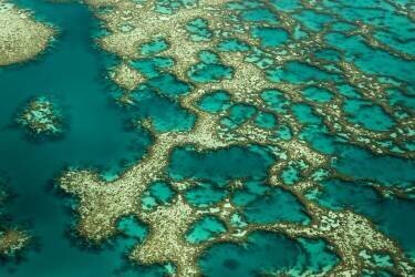 Gondwana (Karsten Wrobel) - Muzeo.com