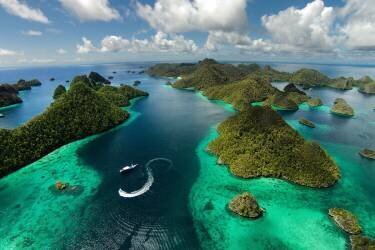 Green paradise (Marcel Rebro) - Muzeo.com