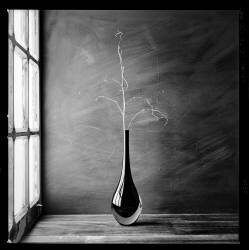 Hard days (Luiz Laercio) - Muzeo.com