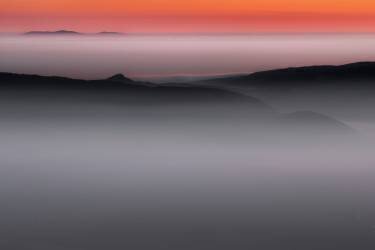 Homeland (Dragisa Petrovic) - Muzeo.com