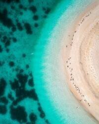 Hot Summer (Faisal ALnomas) - Muzeo.com