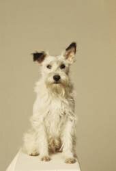 Idefix (Collection Christophel) - Muzeo.com