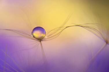 In arms (Heidi Westum) - Muzeo.com