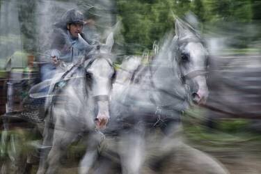 In focus (Milan Malovrh) - Muzeo.com