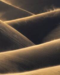 Incendiary (Ryan Dyar) - Muzeo.com