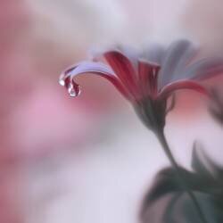 Invisible Touch... (Juliana Nan) - Muzeo.com