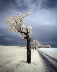 IRenka (Piotr Krol (Bax)) - Muzeo.com