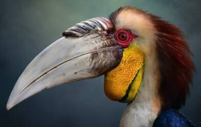 Jabrix (Fahmi Bhs ) - Muzeo.com