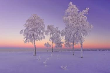 January evening (Ruslan Makhmud-Akhunov) - Muzeo.com