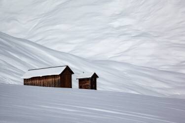 Just two (Uschi Hermann) - Muzeo.com