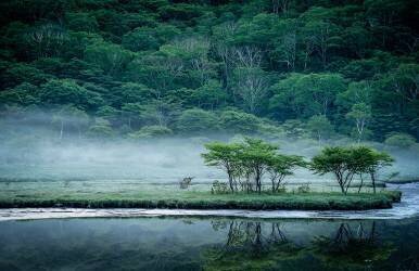 Kakumanbuchi Marsh (Teruo Araya ) - Muzeo.com
