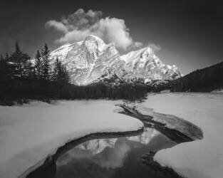 Kidd Mountain (Leah Xu) - Muzeo.com