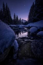 Krivan III (Marian Kuric) - Muzeo.com