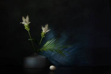 Kurkuma dream (Saskia Dingemans) - Muzeo.com