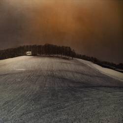 Landscape (Inge Schuster) - Muzeo.com