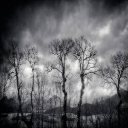 Last days (Txules) - Muzeo.com