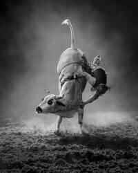 Last Second (Frank Ma) - Muzeo.com