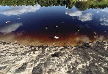 L'été indien (Natasha Gudermane) - Muzeo.com