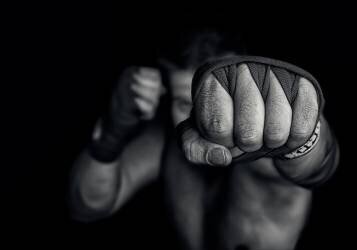 Left wing (Adrian Vrican) - Muzeo.com