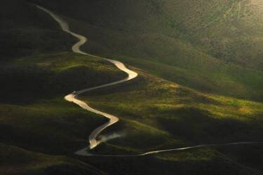 Life line (Ali Memari) - Muzeo.com