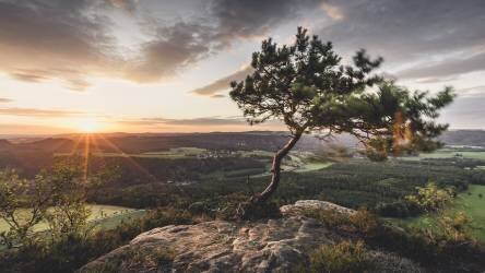 Lilienstein Aussicht (Ronny Behnert) - Muzeo.com