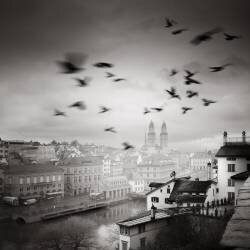 Lindenhof View (Ronny Behnert) - Muzeo.com