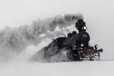 Little-Jumbo (Harri Aho) - Muzeo.com