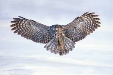 Lock on (Rob Li) - Muzeo.com