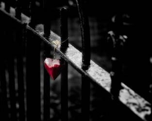 Lonely (Richard Bland ) - Muzeo.com